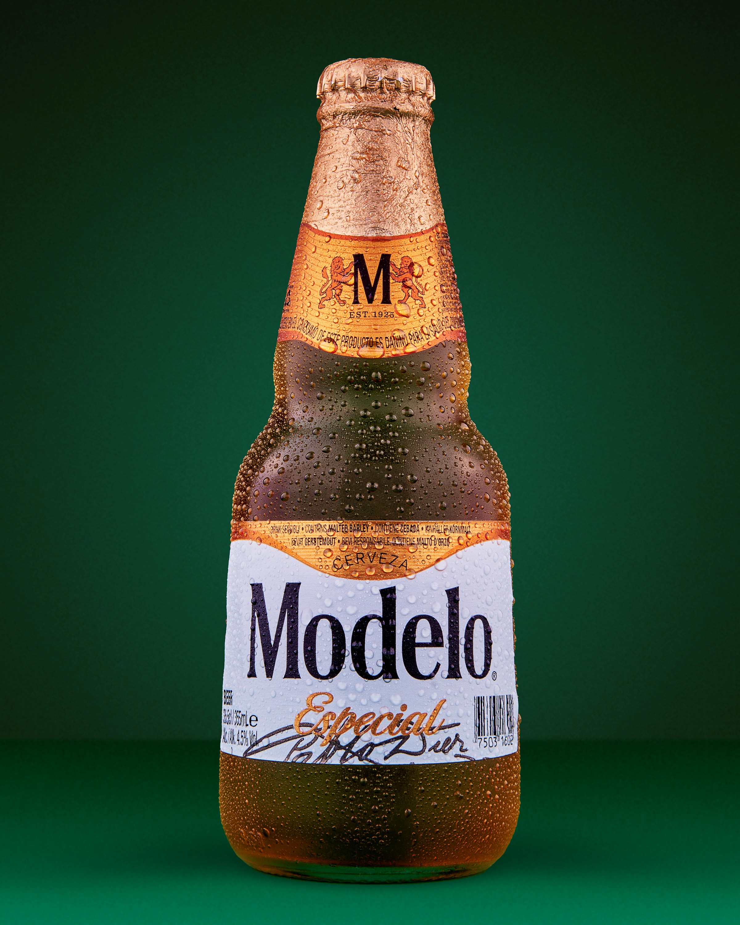 Modelo